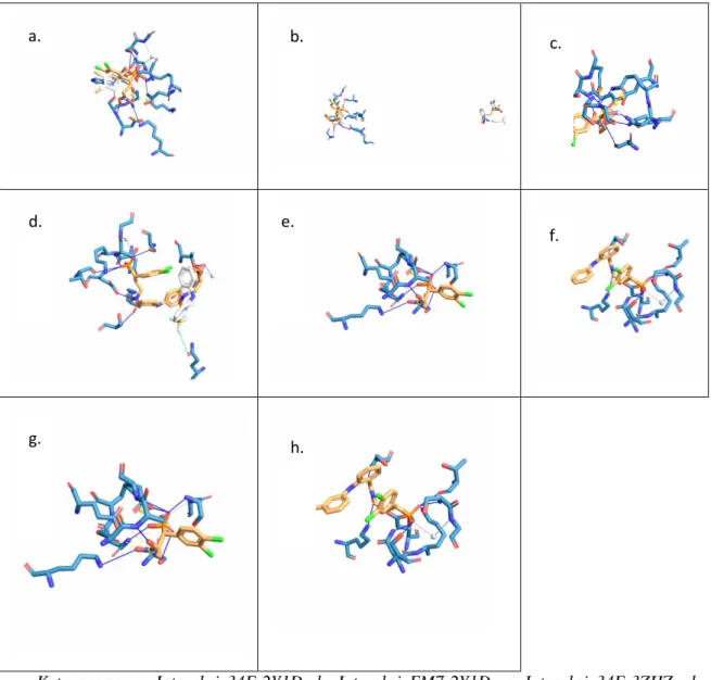 Tabel 2. Gambar Interaksi Ligan-Protein 