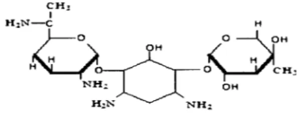 Gambar 7. Struktur gentamisin (Tjay dan Rahardja, 2002).