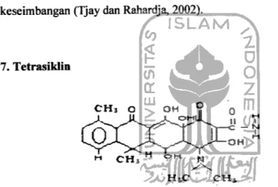 Gambar 8. Struktur tetrasiklin (Tjay dan Rahardja, 2002).