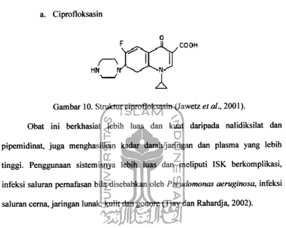 Gambar 10. Struktur ciprofloksasin (Jawetz et al., 2001).