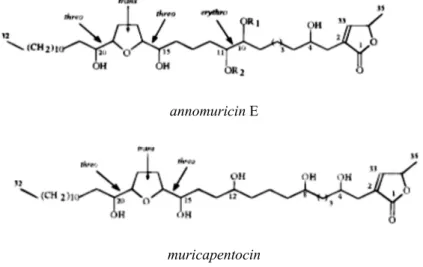 Gambar 1. Struktur senyawa acetogenin yang digunakan pada uji molecular docking. 