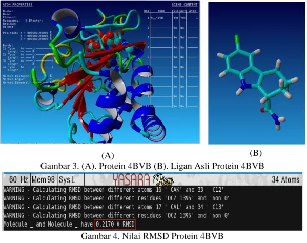 Gambar 3. (A). Protein 4BVB (B). Ligan Asli Protein 4BVB 