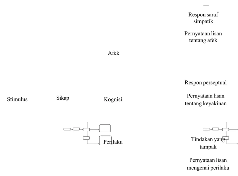 Gambar 2.1. Konsepsi Skematik Rosenberg &amp; Hovland mengenai Sikap (diadaptasi dari Fishbein &amp; Ajzen, 1975 hal 340 dalam Azwar, 2007)