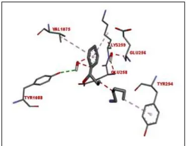 Gambar  11. Posisi   senyawa 1-(2,5- dihidroksifenil)-(3-piridin-2-il) propenon  ketika   terikat   ke   reseptor  ACh-M 3 .Visualisasi menggunakan software VMD