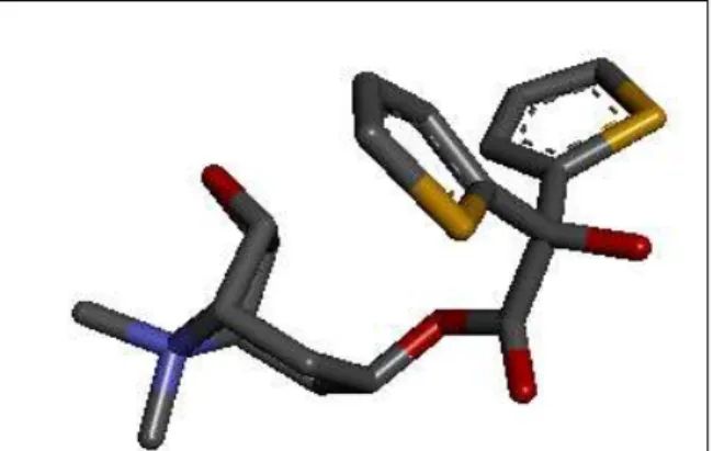 Gambar  8.    Visualisasi    validasi      docking    molekuler    tiotropium  (4DAJ)    pada  reseptor ACh-M 3 .Struktur  molekul  tiotropium  yang  saling berhimpitan   (nicely  aligned)    menggambarkan    protocol    docking    yang    digunakan  valid