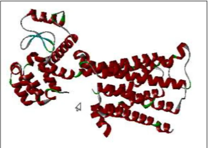 Gambar 9. Struktur sekunder molekul reseptor ACh-M 3