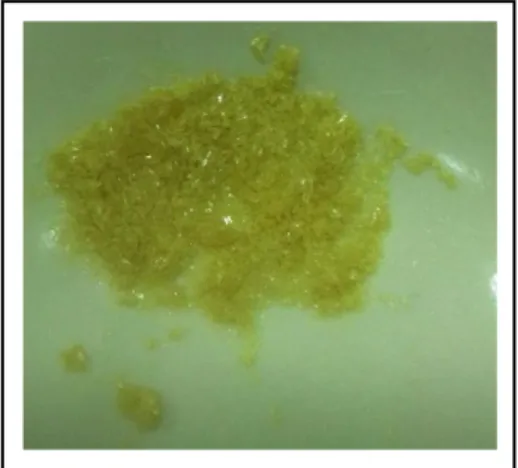 Gambar  1.  Kristal  Alkaloid  Lada  Piper nigrum Linn. 