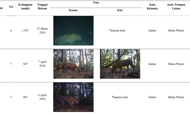 Tabel 1. Waktu dan Lokasi Penemuan Harimau Sumatera 