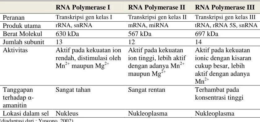 Tabel 2. Perbedaan sifat ketiga RNA polymerase 