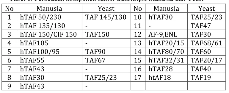 Tabel 3. Perbedaan komponen faktor transkripsi Manusia dan Yeast 