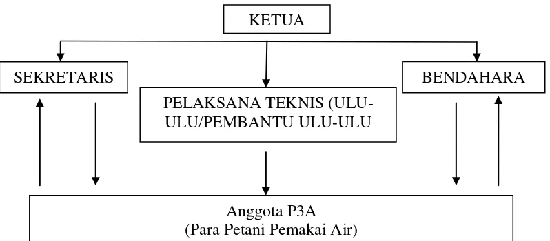 Gambar: Skema Struktur Organisasi 