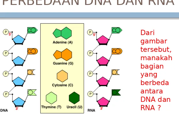 gambar tersebut, 