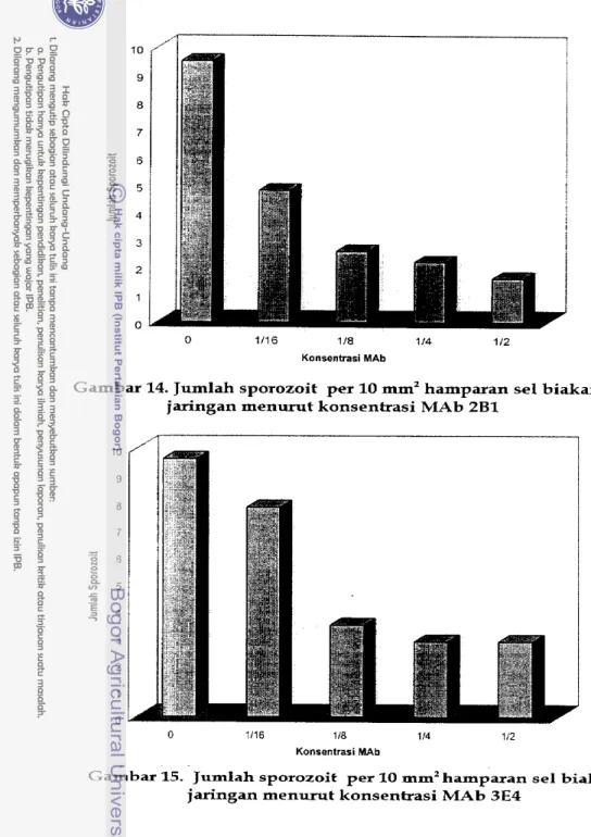 Gambar 14. Jumlah sporozoit  per 10  m m 2   hamparan  sel  biakan  jaringan menurut konsentrasi MAb 2 B 1  