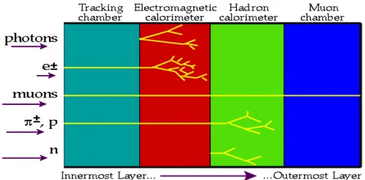 Gambar 7.11. Interaksi acuan 8 partikel dalam detektor energi tinggi modern. 
