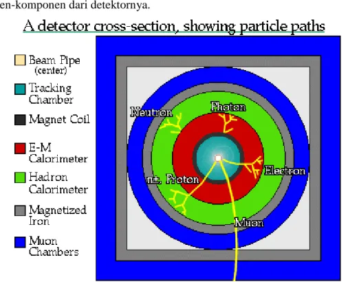 Gambar 7.13. Penampang lintang detektor dan lintasan partikel 