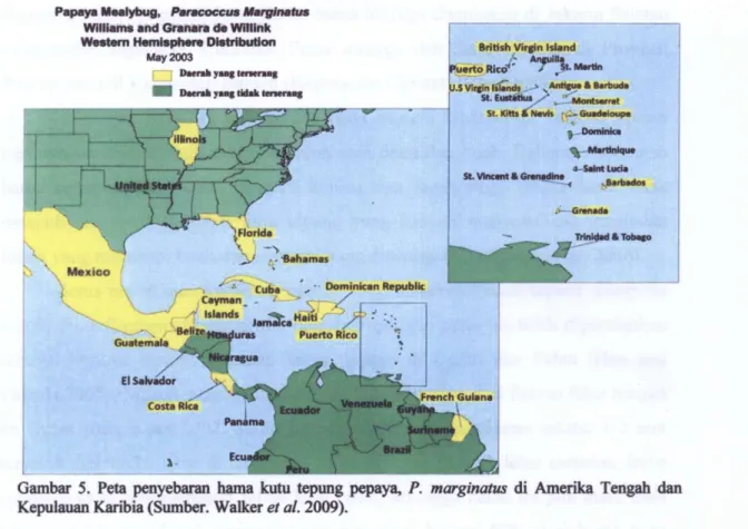 Gambar 5. Peta penyebaran hama kutu tepung pepaya, P. marginatus di Amerika Tengah dan  Kepulauan Karibia (Sumber