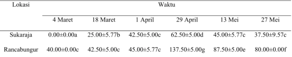 Tabel 1  Populasi P. marginatus di Kecamatan Sukaraja dan Rancabungur pada                enam kali pengamatan tahun 2010 (jumlah/daun) 
