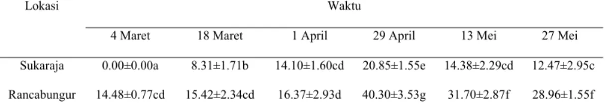 Tabel 2  Luas serangan P. marginatus di Kecamatan Sukaraja dan Rancabungur                pada enam kali pengamatan tahun 2010 (%) 