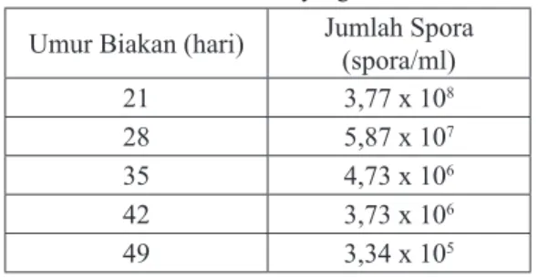 tabel 1. Jumlah Spora B. bassiana   Pada Masa Inkubasi yang Berbeda Umur Biakan (hari) Jumlah Spora 