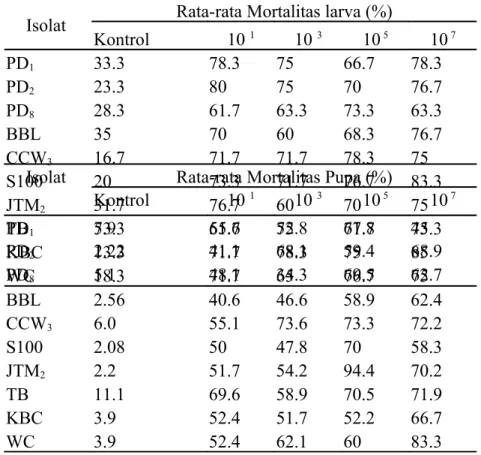 Tabel 4.  Mortalitas  Pupa P. xylostella  setelah  aplikasi  jamur B. bassiana Isolat  Rata-rata Mortalitas Pupa (%)