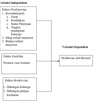 Gambar 2.2. Kerangka Konsep 