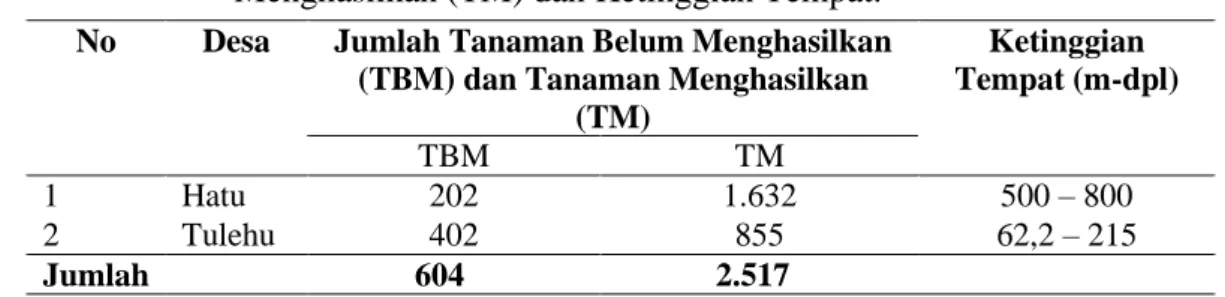 Tabel  4.  Jumlah  Tanaman  Belum  Menghasilkan  (TBM),  Tanaman  Menghasilkan (TM) dan Ketinggian Tempat