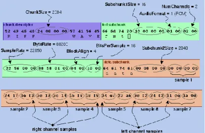 Gambar 2.6 Interpretasi file WAVE (Wilson, 2003) 