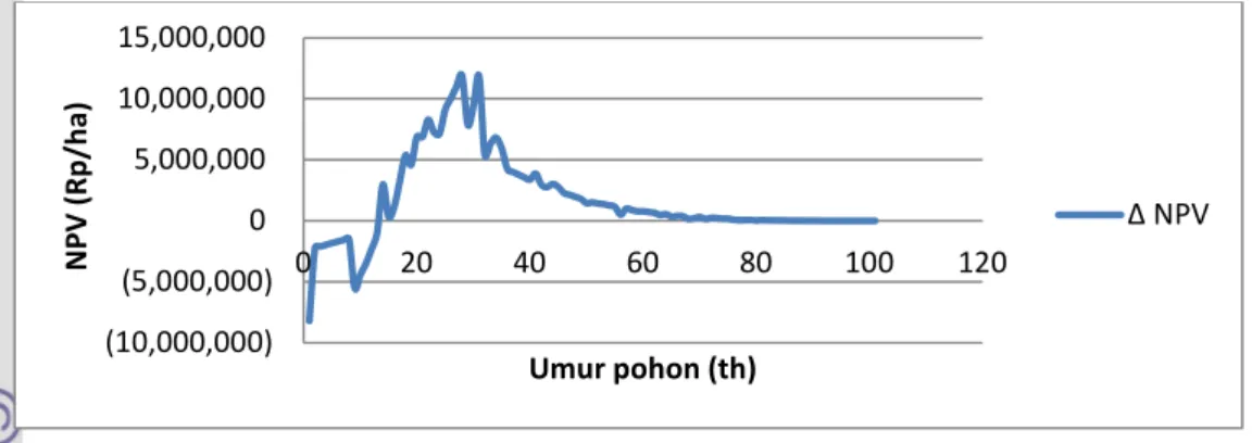 Gambar 10  Grafik hubungan rata-rata manfaat marginal terhadap tahun  produksi pala. 