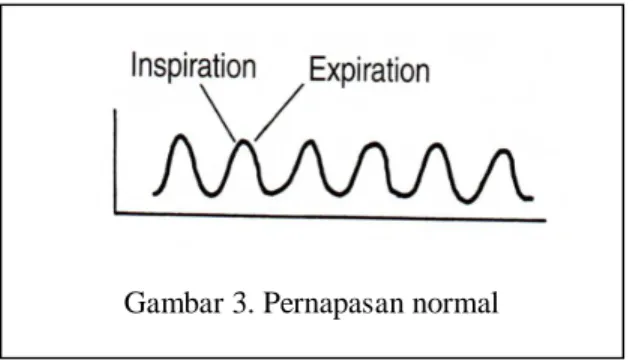 Gambar 3. Pernapasan normal B. Denyut Nadi (Pulse) 