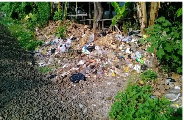 Gambar 3 Pencemaran tanah dari sampah (limbah rumah tangga)