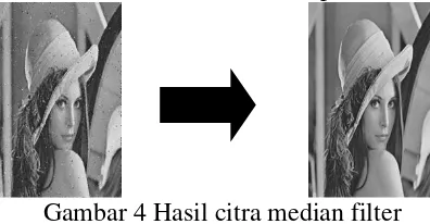 Gambar 5 Hasil citra adaptif median filter 