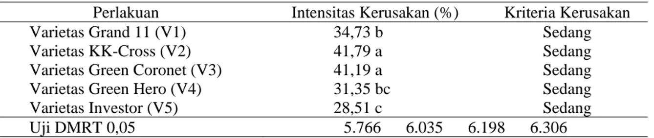 Tabel 3. Intensitas Kerusakan akibat Serangan P.xylostela pada Varietas Kubis  