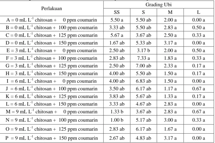 Tabel 7. Pengaruh Chitosan dan Coumarin terhadap Jumlah Ubi per Kelas SS, S, M, dan L  