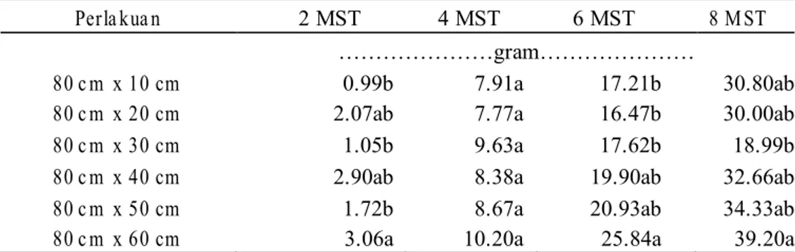 Tabel 3. Data Biomassa Tanaman Jagung pada Berbagai Perlakuan Jarak Tanam Perla kua n 2 MST 4 MST 6 MST 8 M ST