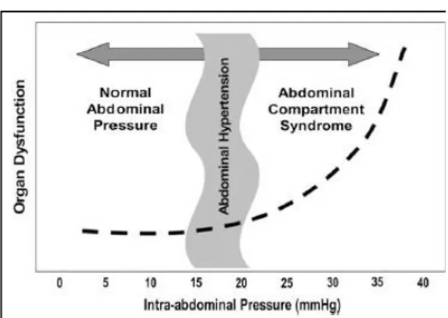 Gambar  1.  Hubunganantaratekanan  abdominal  normal,  hipertensi  intra  abdomen,  abdominal  compartment  syndrome,danpenyebabdaridisfungsi  organ 3 