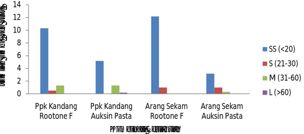Gambar 6. Pengaruh media tanam dan jenis auksin terhadap jumlah umbi per plot  berdasarkan ukuran umbi 