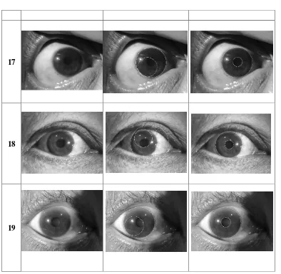 Tabel 2 - Hasil Segmentasi Iris Mata 