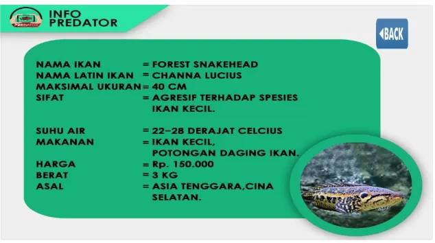 Gambar 9 Info Ikan Forest Snakehead 