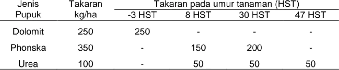 Tabel 1.  Takaran dan Waktu Pemupukan Uji Adaptasi VUB Jagung pada Gambut  Dangkal Aia Tajun, Kecamatan Lubuk Alung, Kabupaten  Padang  Pariaman, MT