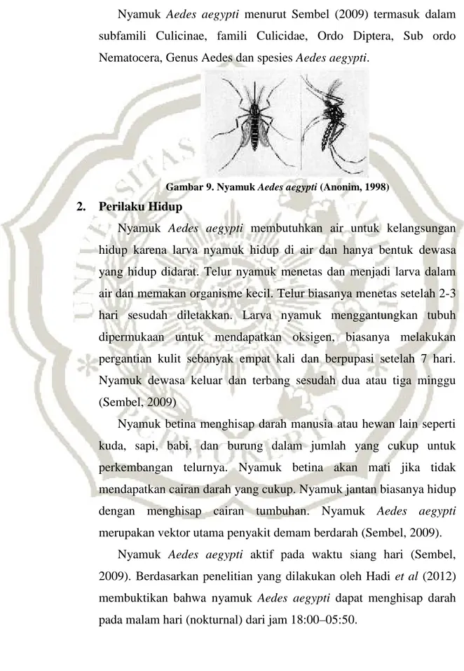 Gambar 9. Nyamuk Aedes aegypti (Anonim, 1998)