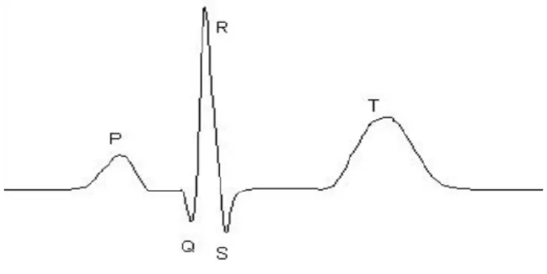 Gambar 2.1 Gelombang EKG normal 