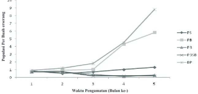 Gambar 2. Grafik Rata-rata Populasi Imago H. hampei pada buah terserang per perlakuan per bulan