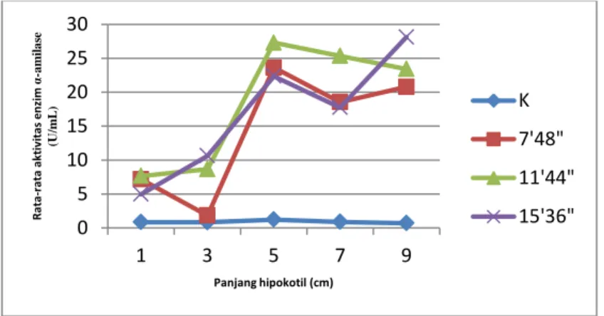 Gambar 2.  Pengaruh lama pemaparan medan magnet terhadap aktivitas enzim α- α-amilase kotiledon kecambah kacang buncis hitam dengan tinggi hipokotil yang berbeda 
