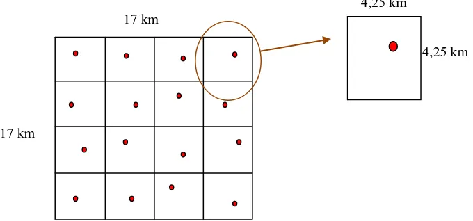 Gambar 4. Petak (grid) dan anak petak (sel) pemasangan Camera trap 
