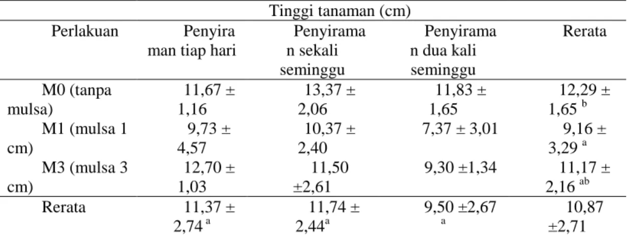 Tabel  1. Tinggi bibit tanaman cabai (Capsicum annuum L.) hasil perlakuan cekaman  kekeringan dan mulsa serbuk gergaji pada minggu ke-8