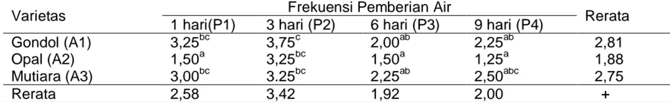 Tabel  3.    Pengaruh  varietas  tomat  dan  frekuensi  pemberian  air  terhadap  jumlah  cabang  tanaman  pada  umur 15 MST 