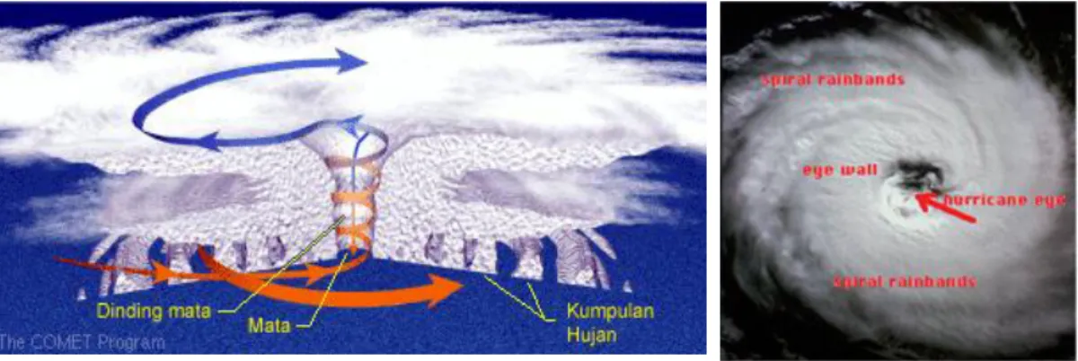 Gambar 5. Struktur Siklon Tropis 