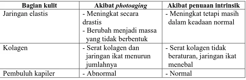 Tabel 2.1 Perbedaan anatomi antara penuaan intrinsik dan photoaging pada  aperubahan epidermis (Mitsui, 1997) 