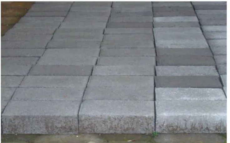 Gambar 5. Perawatan Paving 