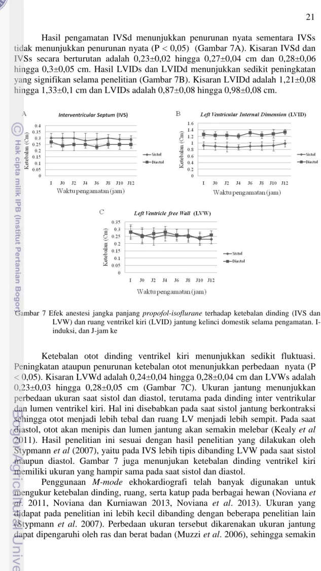 Gambar  7  Efek  anestesi  jangka  panjang  propofol-isoflurane  terhadap  ketebalan  dinding  (IVS  dan  LVW) dan ruang ventrikel kiri (LVID) jantung kelinci domestik selama pengamatan